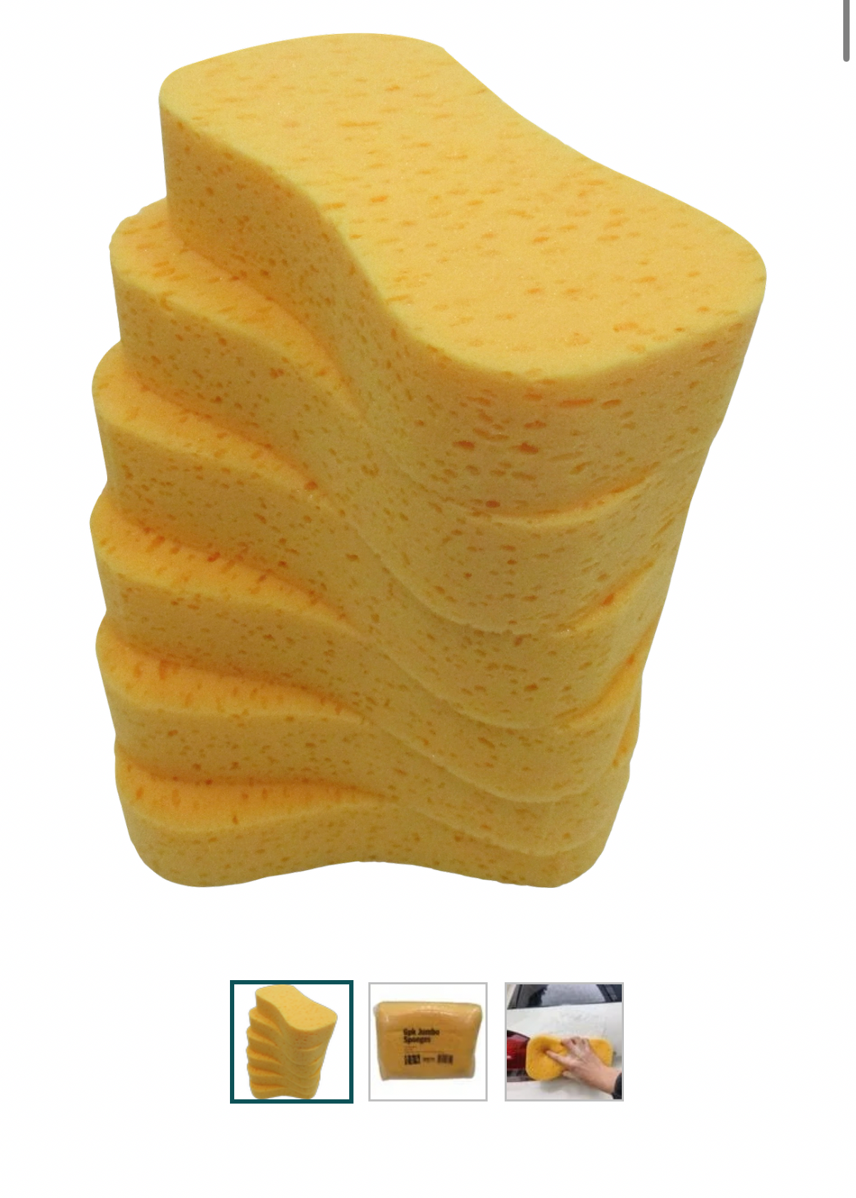 All Set 6 Pack Jumbo Sponges