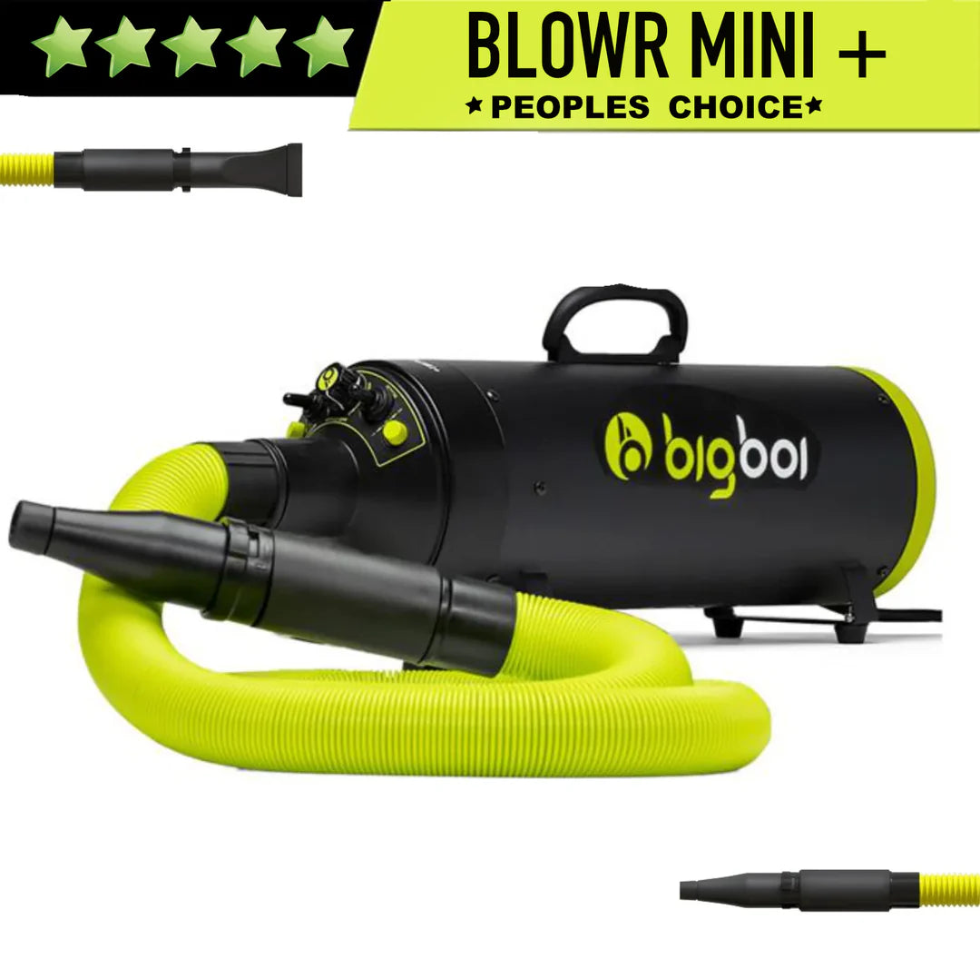 MK2 BIGBOI MINI PLUS