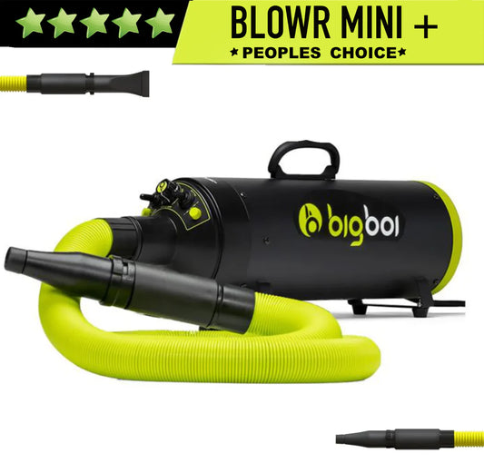 MK2 BIGBOI MINI PLUS